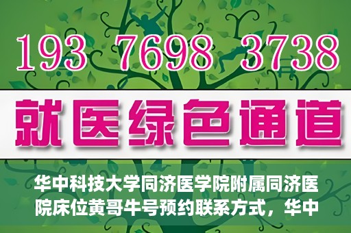 华中科技大学同济医学院附属同济医院床位黄哥牛号预约联系方式，华中科技大学同济医院床位预约联系方式及黄哥牛号预约攻略
