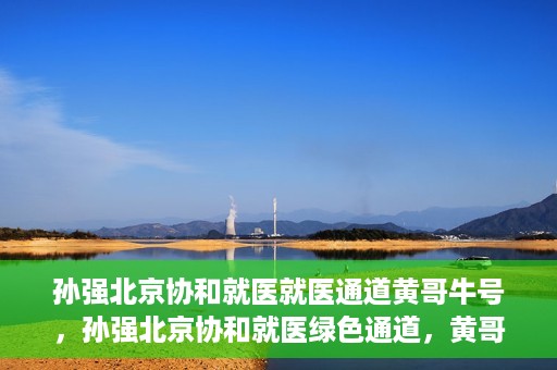 孙强北京协和就医就医通道黄哥牛号，孙强北京协和就医绿色通道，黄哥牛号助您轻松挂号就医