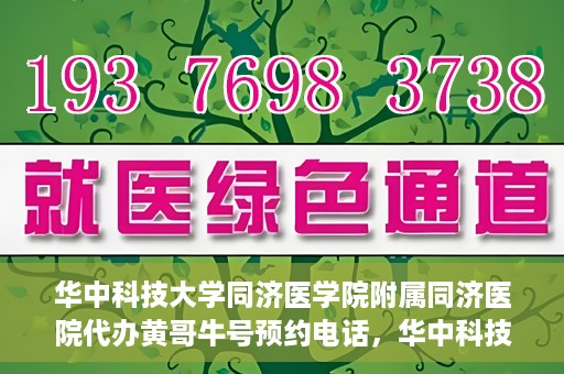 华中科技大学同济医学院附属同济医院代办黄哥牛号预约电话，华中科技大学同济医院黄哥牛号预约电话及代办服务解析