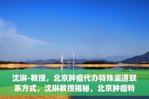 沈琳-教授，北京肿瘤代办特殊渠道联系方式，沈琳教授揭秘，北京肿瘤特殊渠道联系方式揭秘