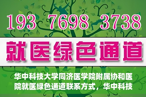 华中科技大学同济医学院附属协和医院就医绿色通道联系方式，华中科技大学同济医学院附属协和医院就医绿色通道联系指南，一站式解决您的医疗需求​​​​