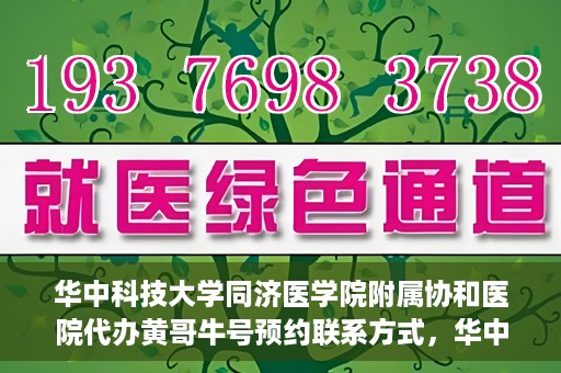 华中科技大学同济医学院附属协和医院代办黄哥牛号预约联系方式，华中科技大学同济医学院附属协和医院代办预约联系方式，黄哥牛号预约揭秘