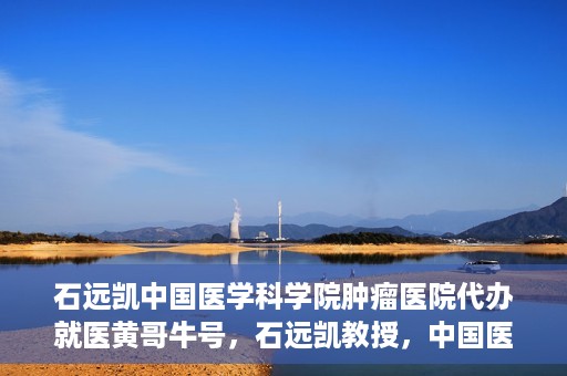 石远凯中国医学科学院肿瘤医院代办就医黄哥牛号，石远凯教授，中国医学科学院肿瘤医院就医攻略及黄哥牛号代办指南