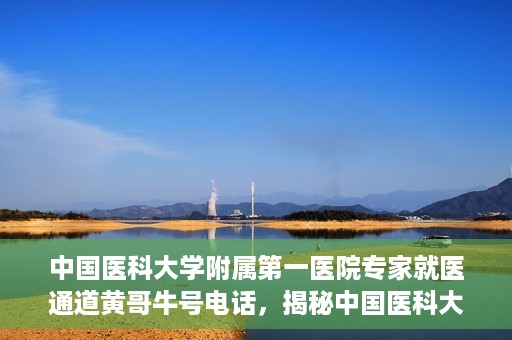 中国医科大学附属第一医院专家就医通道黄哥牛号电话，揭秘中国医科大学附属第一医院专家就医通道，黄哥牛号电话专线揭秘