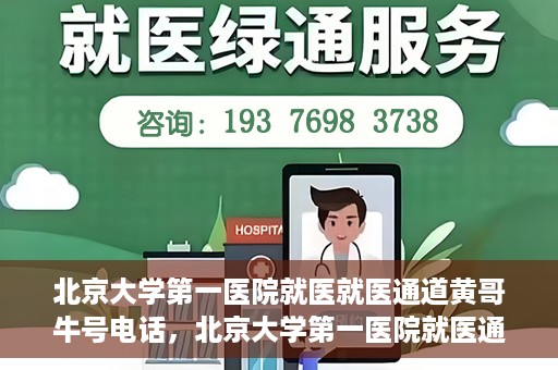 北京大学第一医院就医就医通道黄哥牛号电话，北京大学第一医院就医通道解析，黄哥牛号电话全解读