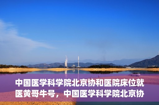 中国医学科学院北京协和医院床位就医黄哥牛号，中国医学科学院北京协和医院床位就医攻略，黄哥牛号助您轻松挂号就医