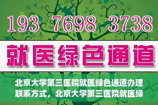 北京大学第三医院就医绿色通道办理联系方式，北京大学第三医院就医绿色通道办理指南，快速联系方式与办理流程解析
