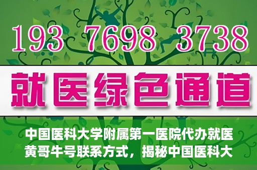 中国医科大学附属第一医院代办就医黄哥牛号联系方式，揭秘中国医科大学附属第一医院代办就医联系人黄哥牛号联系方式，专业服务的背后故事