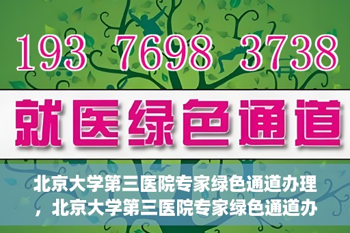 北京大学第三医院专家绿色通道办理，北京大学第三医院专家绿色通道办理详解，一站式服务助力高效就医体验