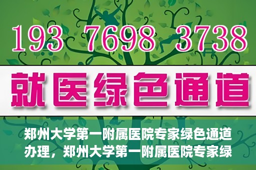 郑州大学第一附属医院专家绿色通道办理，郑州大学第一附属医院专家绿色通道办理详解，一站式服务体验与高效就医流程