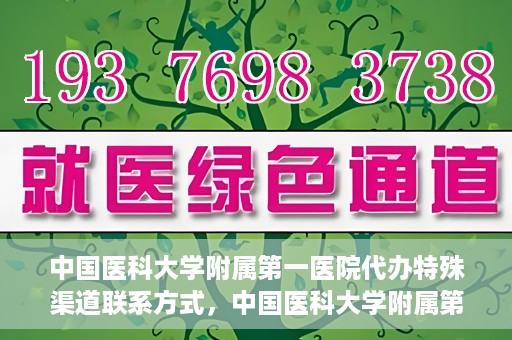中国医科大学附属第一医院代办特殊渠道联系方式，中国医科大学附属第一医院特殊渠道联系方式揭秘