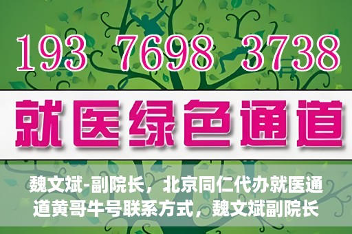 魏文斌-副院长，北京同仁代办就医通道黄哥牛号联系方式，魏文斌副院长与北京同仁就医通道，黄哥牛号联系方式揭秘