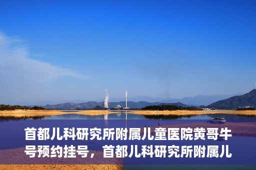首都儿科研究所附属儿童医院黄哥牛号预约挂号，首都儿科研究所附属儿童医院黄哥牛号预约挂号攻略
