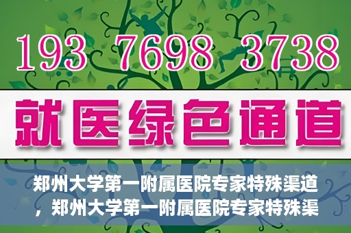 郑州大学第一附属医院专家特殊渠道，郑州大学第一附属医院专家特殊渠道揭秘，权威医疗资源的背后故事