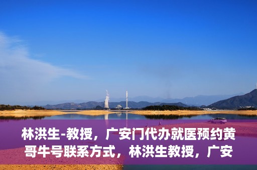 林洪生-教授，广安门代办就医预约黄哥牛号联系方式，林洪生教授，广安门就医预约背后的故事，黄哥牛号联系方式揭秘