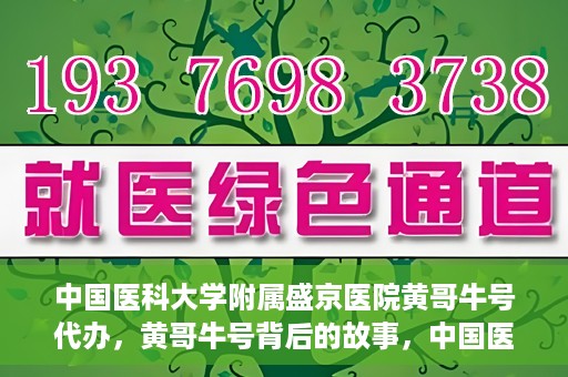 中国医科大学附属盛京医院黄哥牛号代办，黄哥牛号背后的故事，中国医科大学附属盛京医院的信赖之选