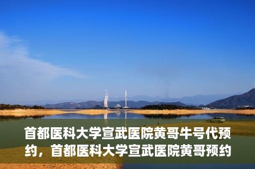 首都医科大学宣武医院黄哥牛号代预约，首都医科大学宣武医院黄哥预约代挂号服务解析