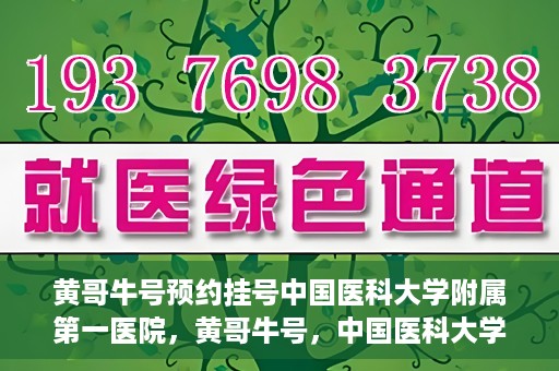 黄哥牛号预约挂号中国医科大学附属第一医院，黄哥牛号，中国医科大学附属第一医院预约挂号服务启动