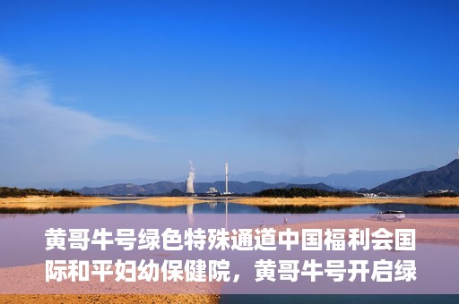 黄哥牛号绿色特殊通道中国福利会国际和平妇幼保健院，黄哥牛号开启绿色特殊通道，助力国际和平妇幼保健院中国福利行动