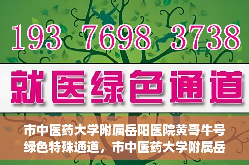 市中医药大学附属岳阳医院黄哥牛号绿色特殊通道，市中医药大学附属岳阳医院黄哥牛号，绿色特殊通道开启健康之门