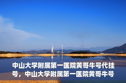 中山大学附属第一医院黄哥牛号代挂号，中山大学附属第一医院黄哥牛号助您解决挂号难题