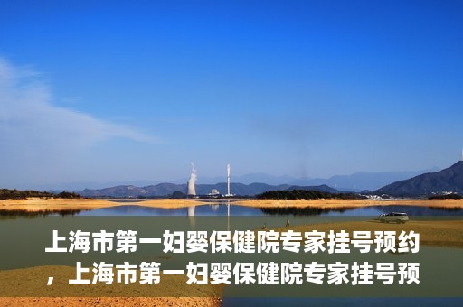 上海市第一妇婴保健院专家挂号预约，上海市第一妇婴保健院专家挂号预约攻略与指南