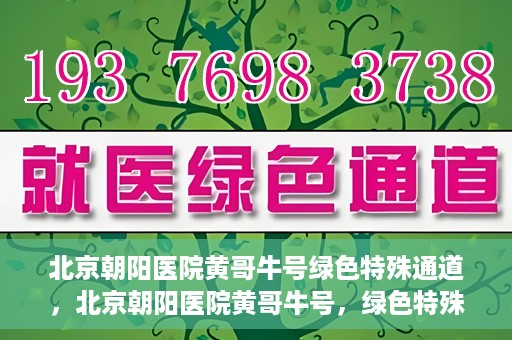 北京朝阳医院黄哥牛号绿色特殊通道，北京朝阳医院黄哥牛号，绿色特殊通道开启健康之门