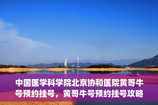 中国医学科学院北京协和医院黄哥牛号预约挂号，黄哥牛号预约挂号攻略，中国医学科学院北京协和医院就医指南