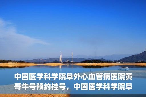 中国医学科学院阜外心血管病医院黄哥牛号预约挂号，中国医学科学院阜外心血管病医院黄哥牛号预约挂号指南，轻松挂号，健康无忧！