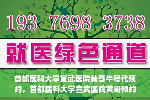 首都医科大学宣武医院黄哥牛号代预约，首都医科大学宣武医院黄哥预约代挂号服务解析