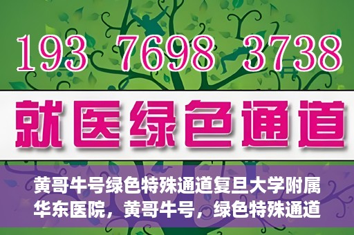 黄哥牛号绿色特殊通道复旦大学附属华东医院，黄哥牛号，绿色特殊通道揭秘，华东医院新篇章开启