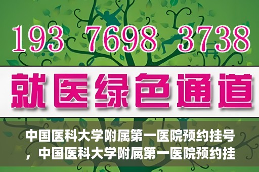 中国医科大学附属第一医院预约挂号，中国医科大学附属第一医院预约挂号指南，一站式解决您的就医难题