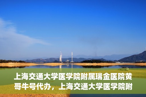 上海交通大学医学院附属瑞金医院黄哥牛号代办，上海交通大学医学院附属瑞金医院黄哥牛号预约代办服务