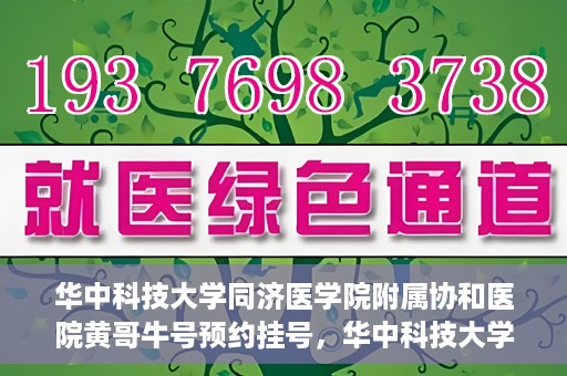 华中科技大学同济医学院附属协和医院黄哥牛号预约挂号，华中科技大学同济医学院附属协和医院黄哥牛号预约挂号攻略解析