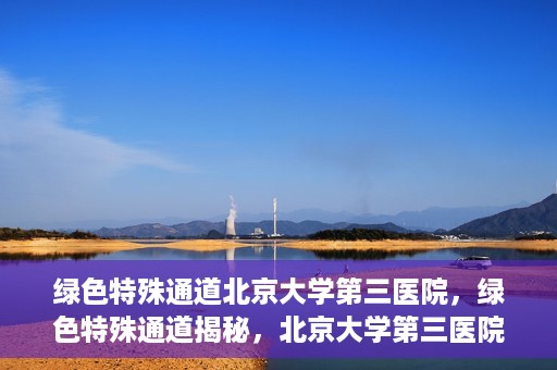 绿色特殊通道北京大学第三医院，绿色特殊通道揭秘，北京大学第三医院的探索与实践