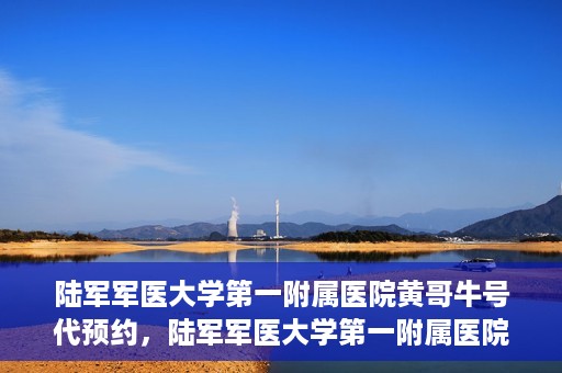 陆军军医大学第一附属医院黄哥牛号代预约，陆军军医大学第一附属医院预约系统升级，黄哥牛号预约服务上线
