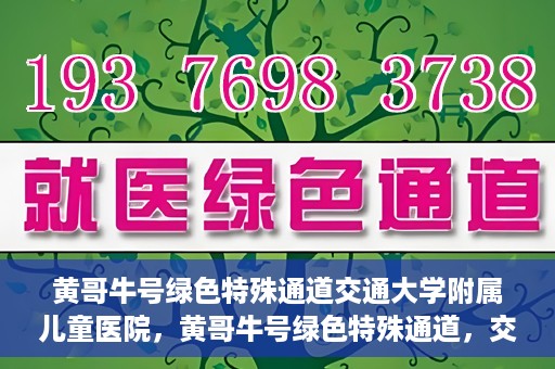 黄哥牛号绿色特殊通道交通大学附属儿童医院，黄哥牛号绿色特殊通道，交通大学附属儿童医院的探索与实践