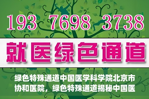 绿色特殊通道中国医学科学院北京市协和医院，绿色特殊通道揭秘中国医学科学院北京市协和医院的力量与担当