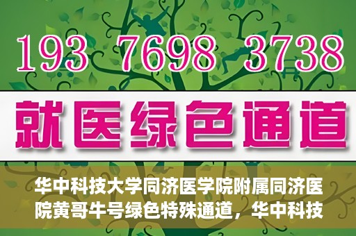 华中科技大学同济医学院附属同济医院黄哥牛号绿色特殊通道，华中科技大学同济医院黄哥牛号绿色特殊通道揭秘