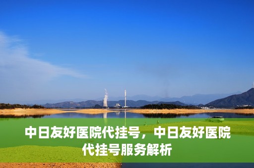中日友好医院代挂号，中日友好医院代挂号服务解析