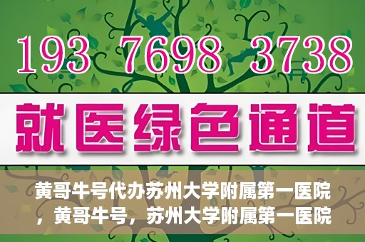 黄哥牛号代办苏州大学附属第一医院，黄哥牛号，苏州大学附属第一医院代办服务详解