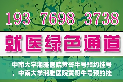 中南大学湘雅医院黄哥牛号预约挂号，中南大学湘雅医院黄哥牛号预约挂号攻略，轻松挂号，无忧就医体验