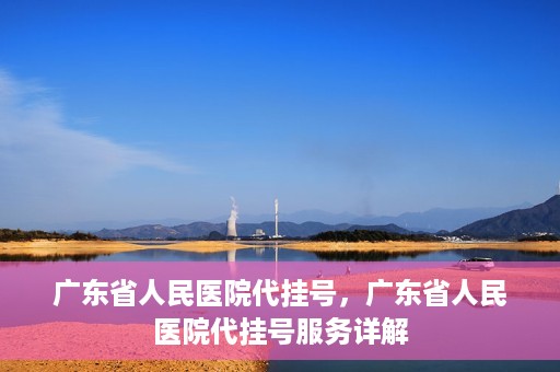 广东省人民医院代挂号，广东省人民医院代挂号服务详解