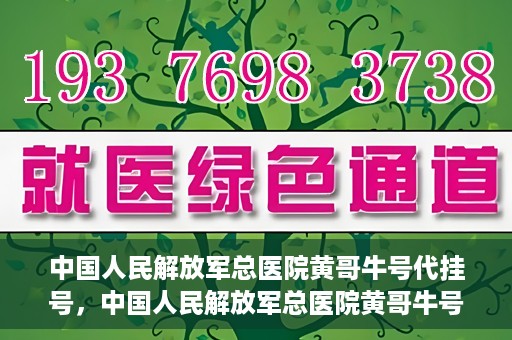 中国人民解放军总医院黄哥牛号代挂号，中国人民解放军总医院黄哥牛号代挂号解析，揭秘挂号背后的故事