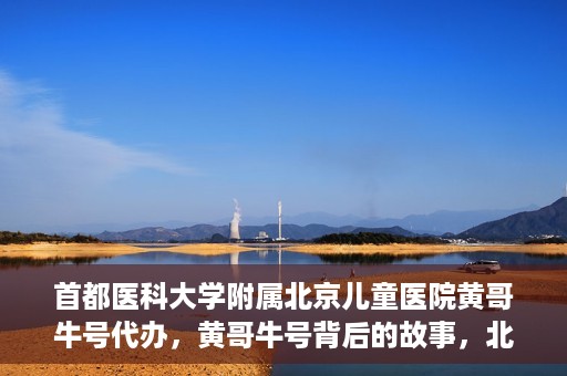 首都医科大学附属北京儿童医院黄哥牛号代办，黄哥牛号背后的故事，北京儿童医院名医背后的故事与探索。