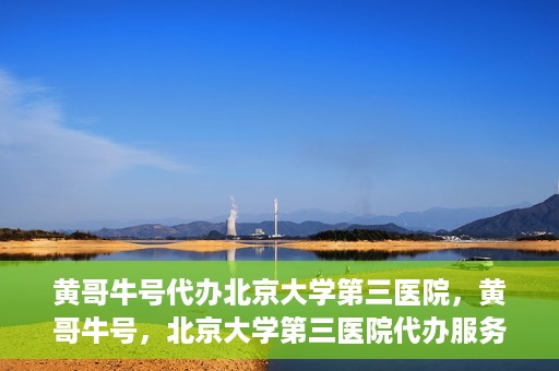 黄哥牛号代办北京大学第三医院，黄哥牛号，北京大学第三医院代办服务揭秘