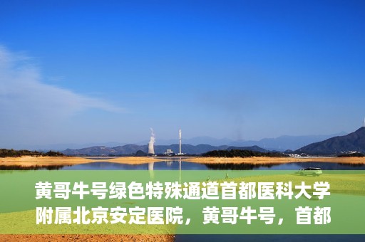 黄哥牛号绿色特殊通道首都医科大学附属北京安定医院，黄哥牛号，首都医科大学附属北京安定医院的绿色特殊通道揭秘