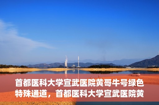 首都医科大学宣武医院黄哥牛号绿色特殊通道，首都医科大学宣武医院黄哥牛号，绿色特殊通道开启健康之门