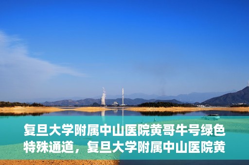 复旦大学附属中山医院黄哥牛号绿色特殊通道，复旦大学附属中山医院黄哥牛号，绿色特殊通道开启健康之门