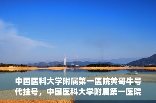 中国医科大学附属第一医院黄哥牛号代挂号，中国医科大学附属第一医院黄哥牛号代挂号服务详解